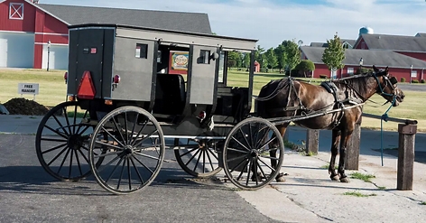 Amish horse-drawn buggy in Shipshewana, Indiana